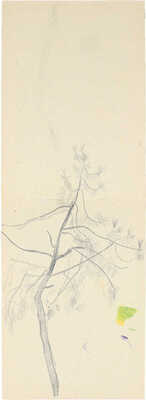 Дорфман Елизавета Григорьевна. Буйвол